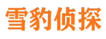 长白市私家侦探